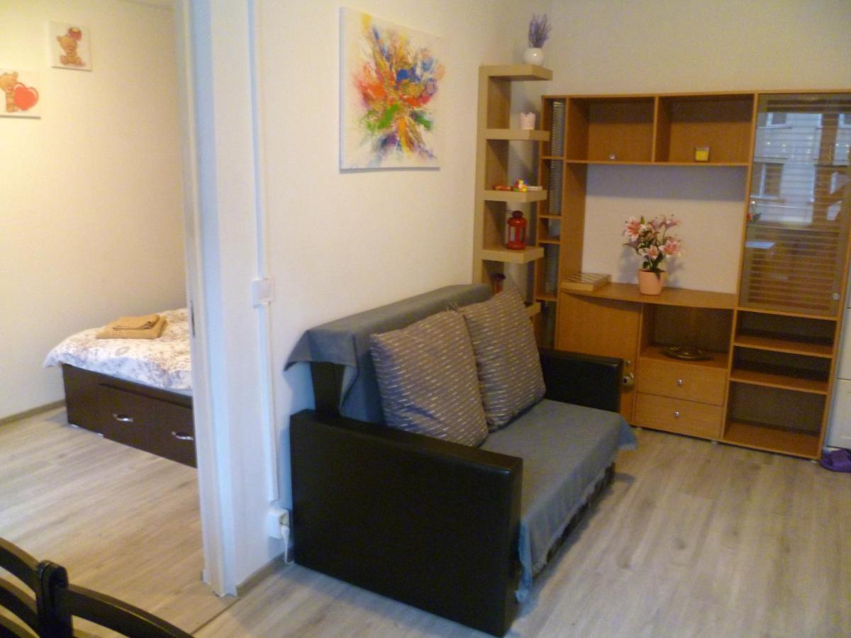Romanilor - Studio First Floor Deva Eksteriør bilde